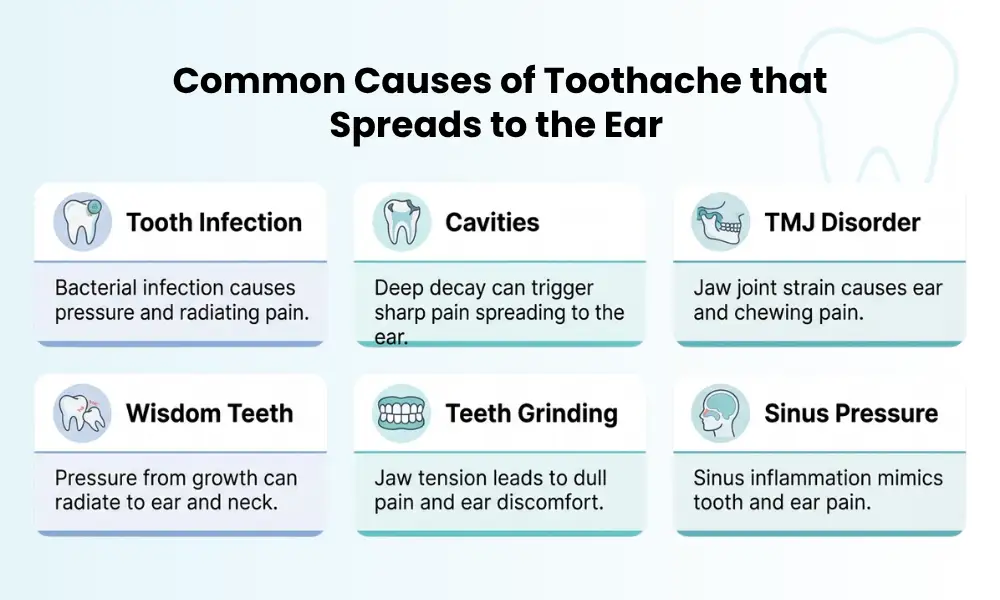 Common Causes of Toothache That Spreads to the Ear
